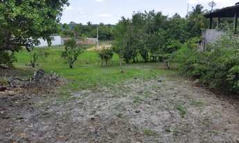 Imagem 7: 321)Lotes em Cações a 100m da Praia ( Rua tranquila sem saída e residencial