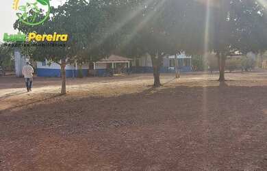 Imagem 9: FAZENDA À VENDA EM SANTA MARIA - TO - 3.789,72 HECTARES (DUPLA APTIDÃO