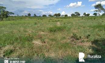 Imagem 4: Fazenda com dupla aptidão na região de Cristalândia - TO