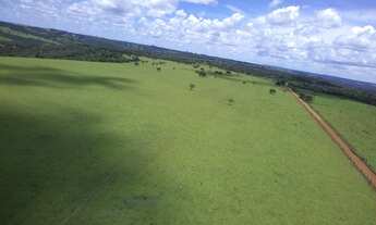 Imagem 4: Fazenda 31 Alq, Vianopolis-GO