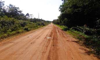 Imagem 3: Fazenda com 530 hectares em Campo Maior -Piauí, terra para lavoura, excelente solo!