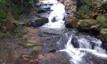 Imagem 3: Chácara 39 hectares com Cachoeiras a 14 km de Campo Grande