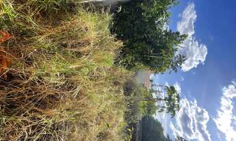 Imagem 3: Imóvel para venda possui 320 metros quadrados em Jardim América - Campinas - São Paulo,tod