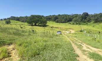 Imagem 4: Terreno 3 Hectares em Passa Tempo MG