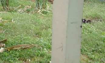 Imagem 3: Quot; Vendo casa em Jardim Carapina