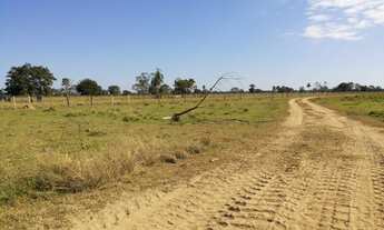Imagem 2: Excelente Fazenda no Muni de Rondonopolis-MT