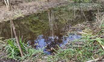 Imagem 2: Sítio pitaia e piscultura 10 mil mts inúmeros tanques comerciais
