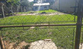 Imagem 3: Chácara com 2 dormitórios à venda, 12000 m² por R$ 290.000,00 - Itaqui - Mogi Guaçu/SP