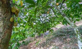 Imagem 3: Vendo sítio em Elisio Medrado