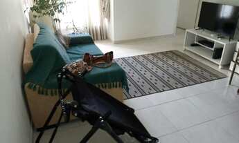 Imagem: Apartamento 01 dormitório