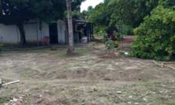 Imagem 3: Chácara desmembrada em lotes em Ponta de Areia, Ilha de Itaparica