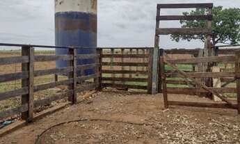 Imagem 2: Sitio para venda sentido Uberaba com 7,5 alqueires