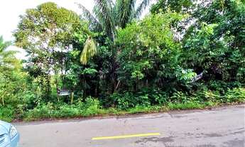 Imagem 6: Vende/Chácara/Terreno/lote/Condomínio Janauary 2/Iranduba/1800 metros quadrados