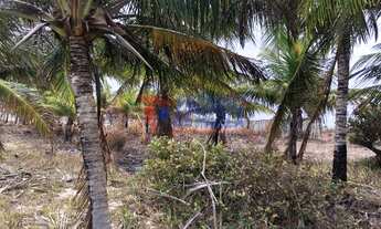 Imagem 2: Terreno Panaquatira com linda vista da praia