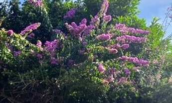 Imagem 5: Casa para Temporada em Aruanã-GO / Recanto do Dirceu