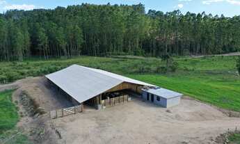 Imagem 2: Sítio para Venda, Imaruí / SC