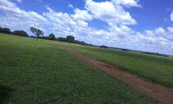 Imagem 3: Fazenda 31 Alq, Vianopolis-GO