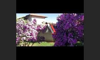 Imagem 3: Excelente Sitio em Lagoa Santa