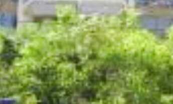 Imagem: Apartamento de 100 metros quadrados no bairro