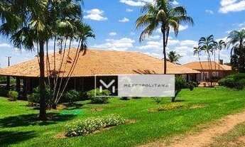 Imagem 5: Santo Antônio de Posse, Haras