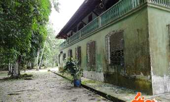 Imagem 3: SITIO EM ABAETETUBA COD 9652