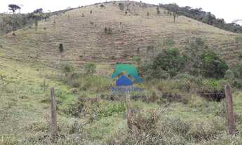 Imagem 5: Excelente Fazenda com pasto alto - Vale Alpino - Teresópolis RJ