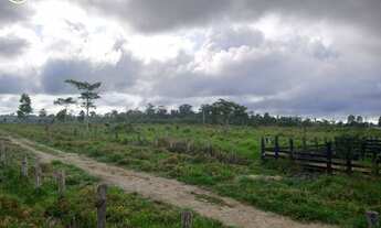 Imagem 7: FAZENDA Á VENDA EM BRASIL NOVO - PA - 663,08 HECTARES (DUPLA APTIDÃO