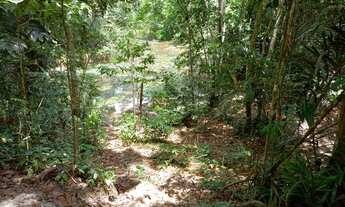Imagem 5: FAZENDA Á VENDA EM BRASIL NOVO - PA - 663,08 HECTARES (DUPLA APTIDÃO