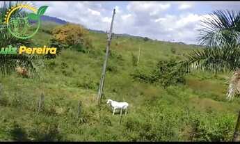 Imagem 2: FAZENDA À VENDA EM PACAJÁ - PA - 2.207,07 HECTARES (DUPLA APTIDÃO