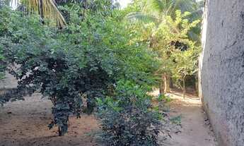 Imagem 5: Pedra de Guaratiba-Centro-225m-Terreno-Junto à praça