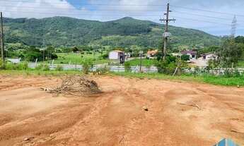 Imagem: Terreno Localizado em Paulo Lopes, Bairro