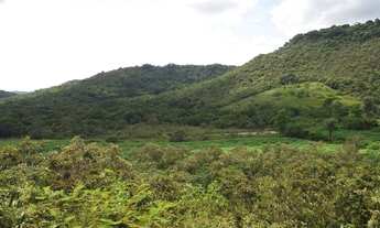 Imagem 2: Fazenda Urubus à venda, com 3.864.000 metros quadrados no bairro Vale das Pedrinhas