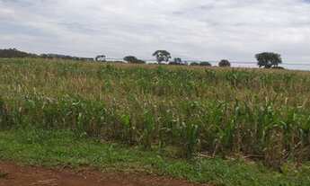 Imagem 5: Fazenda/Sítio/Chácara para venda com 6 Alqueires em Uberaba