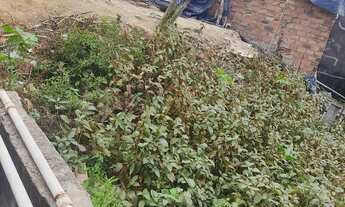 Imagem 2: Terreno Terreno / lote com venda por R$9.000