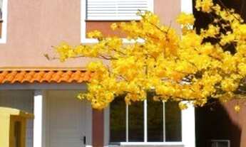 Imagem 2: Casa para aluguel e venda tem 60 metros quadrados com 2 quartos em Granja Viana - Cotia