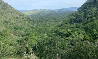 Imagem 2: Vendo umas terras sete milhões e quinhentos mil