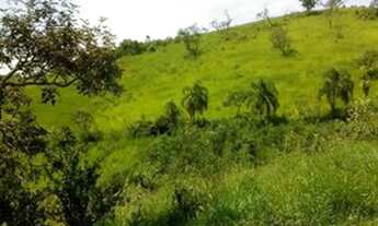 Imagem 4: Lote/Terreno para venda possui 600 metros quadrados em Centro - Mairiporã - SP