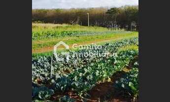 Imagem 3: Chácara a venda Bady Bassit