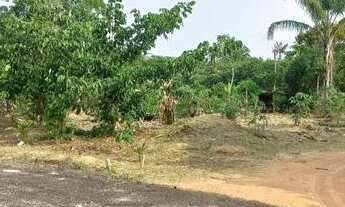 Imagem 3: Terreno Iranduba Caldeirão Algumas plantações. Tem água encanada Eletricidade L