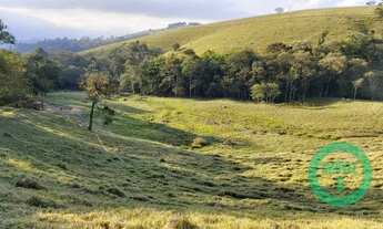 Imagem 3: TERRAS PECUÁRIA | 24,20 HA | REGIÃO DE POUSO ALEGRE MG
