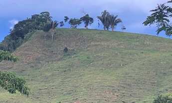 Imagem 3: Sítio tabuleiro Mg