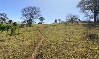 Imagem 4: Vende-se Fazenda de 16.72 alqueires em Trindade-GO