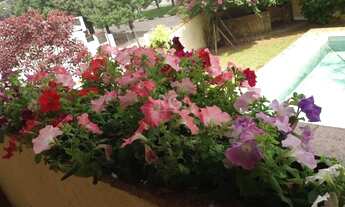 Imagem 2: Casa para Venda - 577.5m², 0 dormitórios, Igara