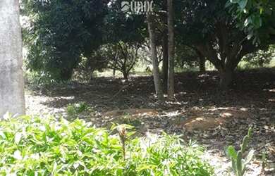 Imagem 2: Venda Chácara com venda por R$100.000