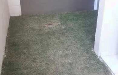 Imagem 7: Apartamento para aluguel possui 36 metros quadrados com 2 quartos em Socorro - São Paulo