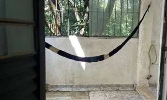 Imagem 7: Alugo casa tipo kitnet (qto/coz/banheiro/varanda) SEM GARAGEM