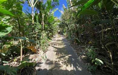 Imagem 4: COTIA - Casa de Condomínio - GRANJA VIANA