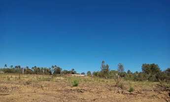 Imagem 4: Chacara 2 ha Cana do Reino/26 de Setembro - Vicente Pires DF