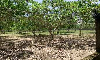Imagem 4: Chácara com piscina a venda na Matinha
