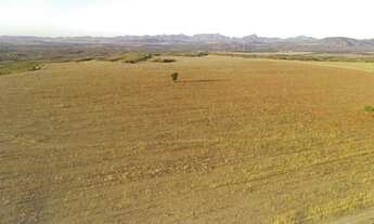 Imagem: Fazenda 113 alq Município de Niquelandia-Goiás